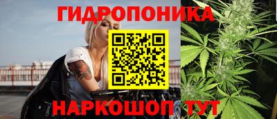 спиды Тула